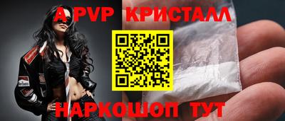 скорость Кингисепп