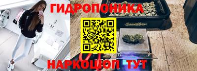 Альфа ПВП Кинель