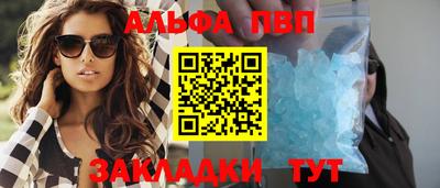 скорость Кингисепп