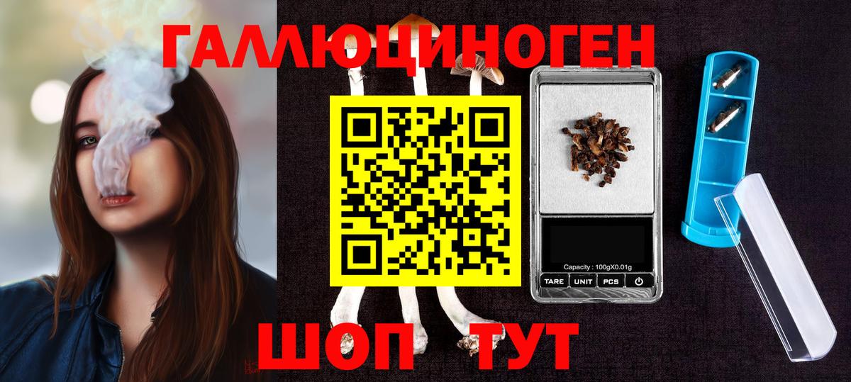 Галлюциногенные грибы Psilocybe Таганрог