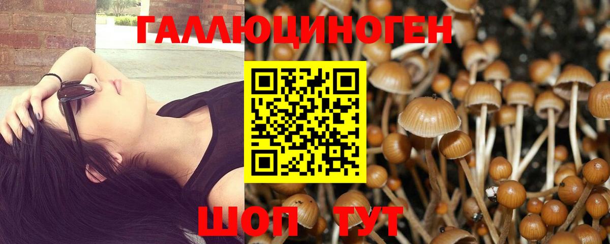 Псилоцибиновые грибы Magic Shrooms  Вход с VPN  Таганрог 